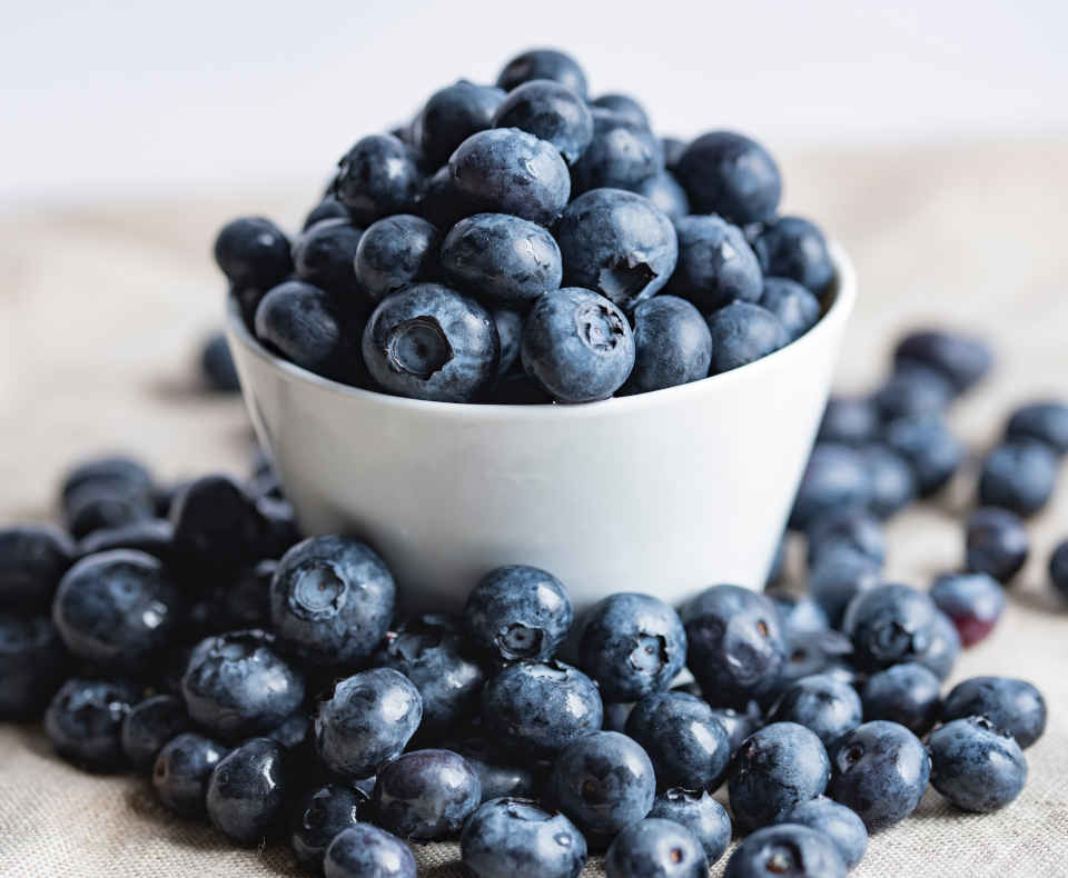 Eine Schüssel voll köstlicher Heidelbeeren